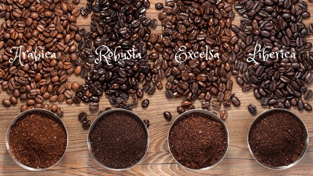 why-are-arabica-coffee-beans-more-expensive-than-robusta-kopi-luwak