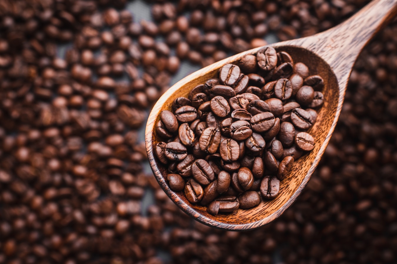 decorative image of coffee beans in a wooden spoon