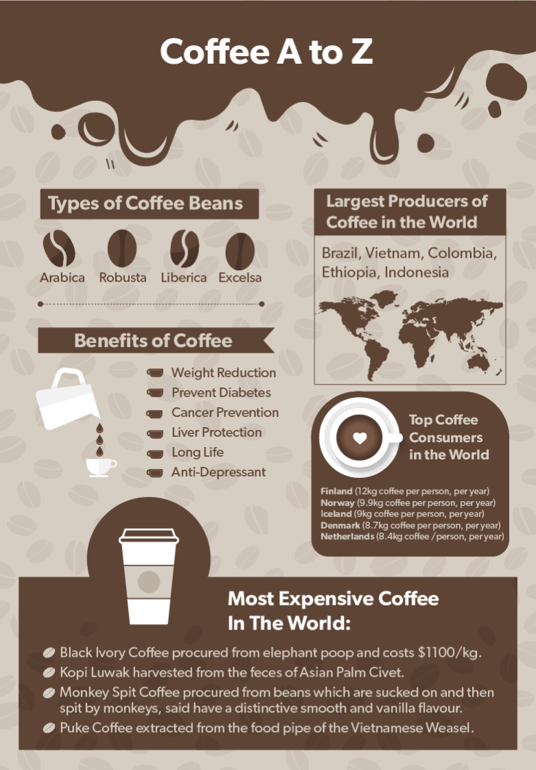 Why Are Arabica Coffee Beans More Expensive than Robusta? - Kopi Luwak