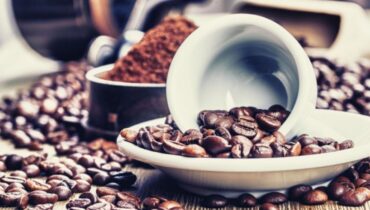 visualize robusta beans