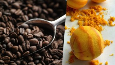 orange zest coffee article cover image