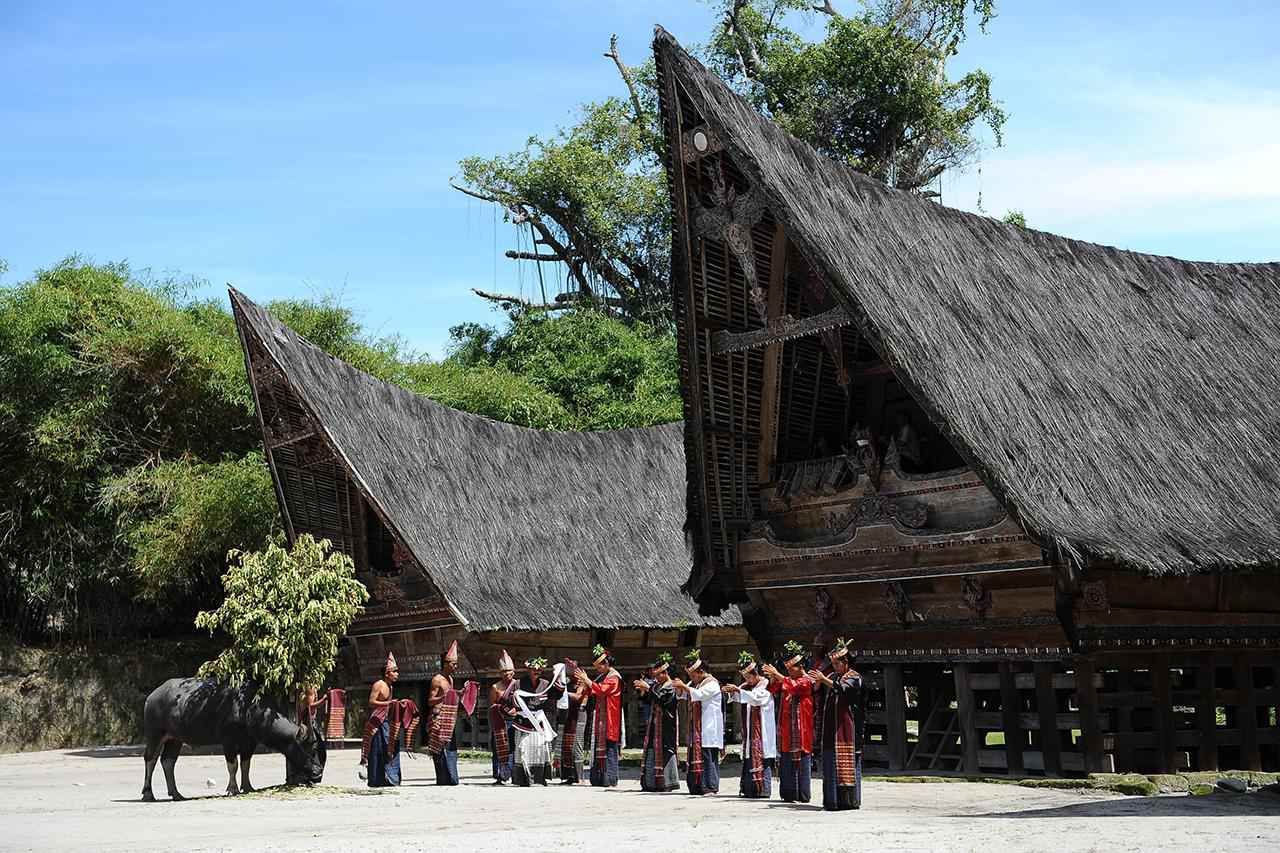 kopi luwak batak village